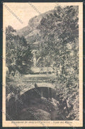 Alessandria Rigoroso di Arquata Scrivia cartolina RB5083 – fronte