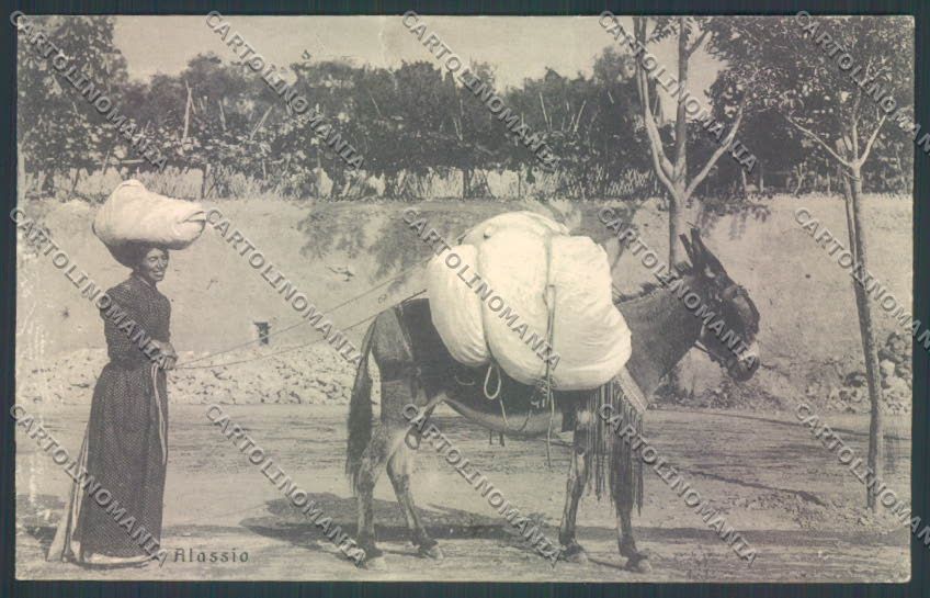 Savona Alassio Asino Donkey STRAPPO cartolina RB5101 – fronte