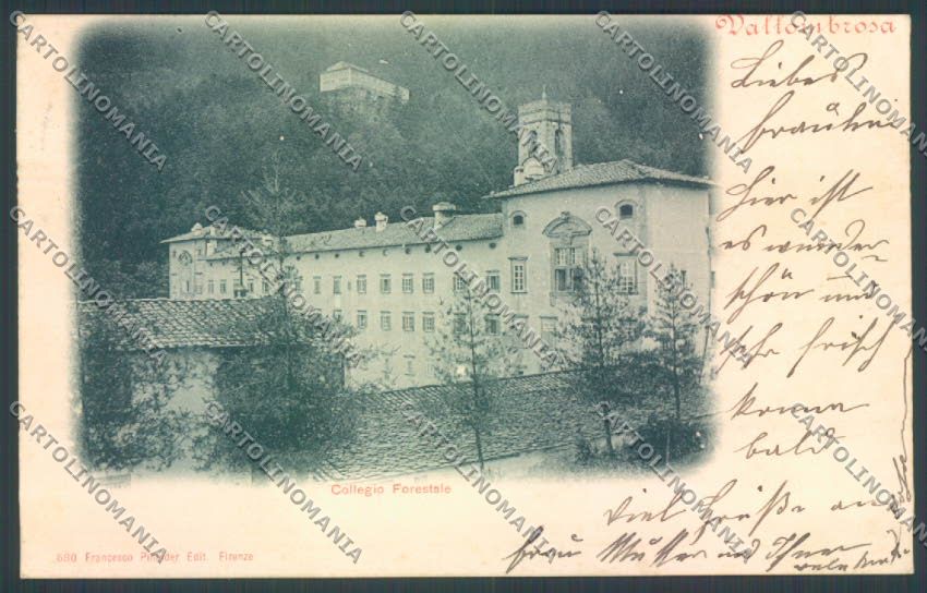 Firenze Vallombrosa cartolina RB5133 – fronte
