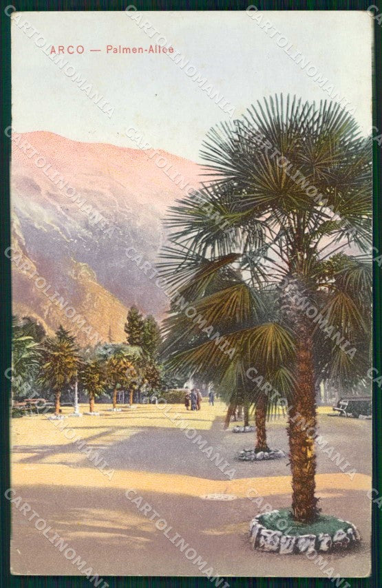Trento Arco Viale con Palme cartolina RB5452 – fronte