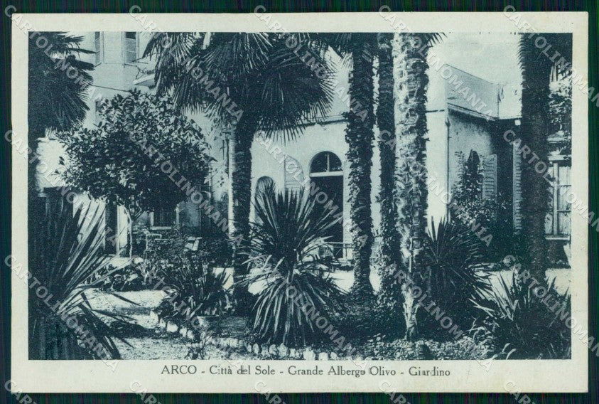 Trento Arco Grande Albergo Olivo Giardino cartolina RB5469 – fronte