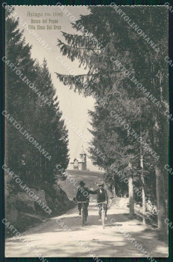 Vicenza Asiago Bosco del Pruno Villa Elma dal Brun cartolina RB5557 – fronte