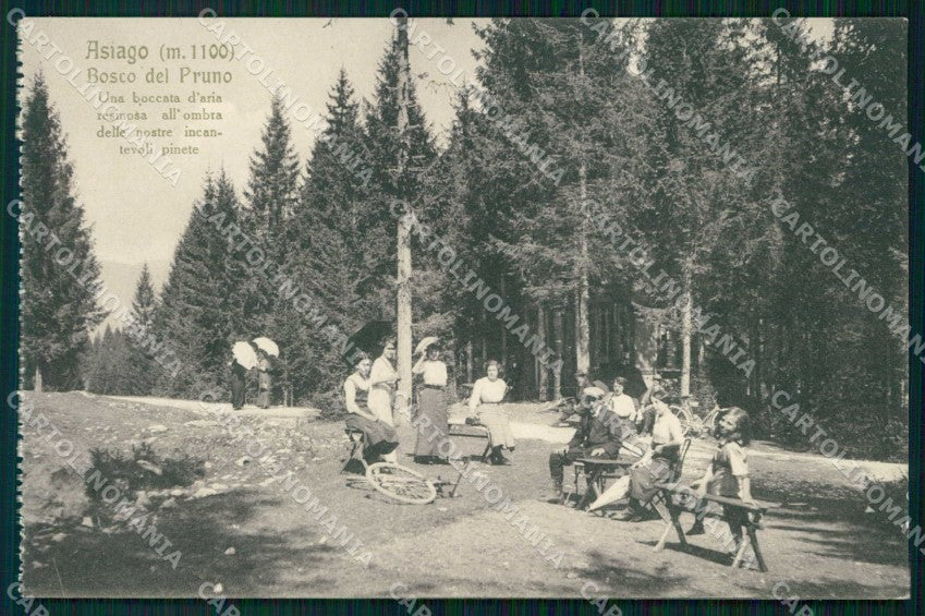 Vicenza Asiago Bosco del Pruno Pinete cartolina RB5558 – fronte