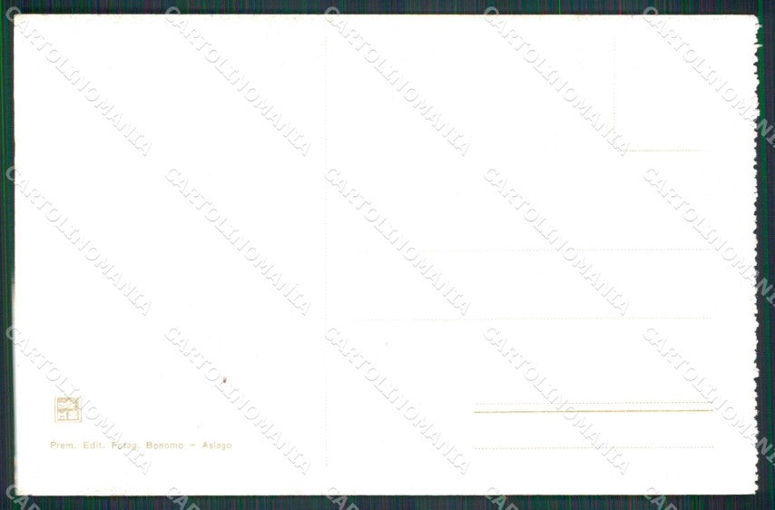 Vicenza Asiago Bosco del Pruno Pinete cartolina RB5558 – retro