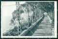 Salerno Amalfi Hotel dei Cappuccini Pergolato cartolina RB5578 – fronte
