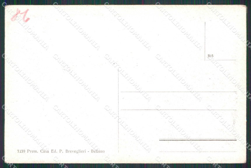 Belluno Alleghe Lago con Barca Breveglieri 7239 cartolina RB5645 – retro
