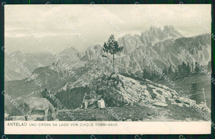 Belluno San Vito di Cadore Monte Antelao ABRASA cartolina RB5675 – fronte