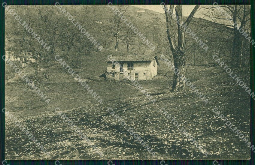 Biella Città Casa tra gli Alberi cartolina RB6046 – fronte