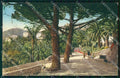 Imperia Bordighera Giardini Pubblici Brunner 21811 cartolina RB6093 – fronte