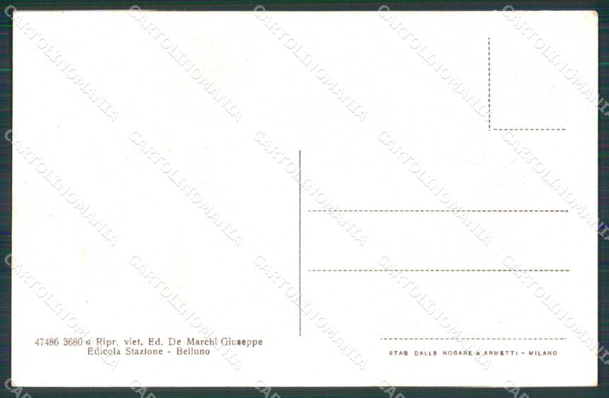 Belluno Città Municipio cartolina RB6154 – retro