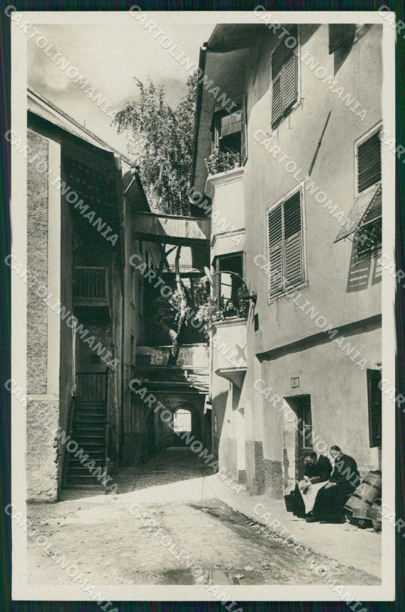 Bolzano Bressanone Betulla Cresciuta dal Muro Foto cartolina RB6204 – fronte