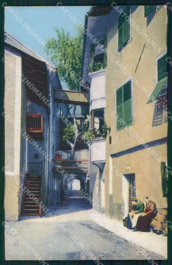 Bolzano Bressanone Betulla Cresciuta dal Muro cartolina RB6208 – fronte