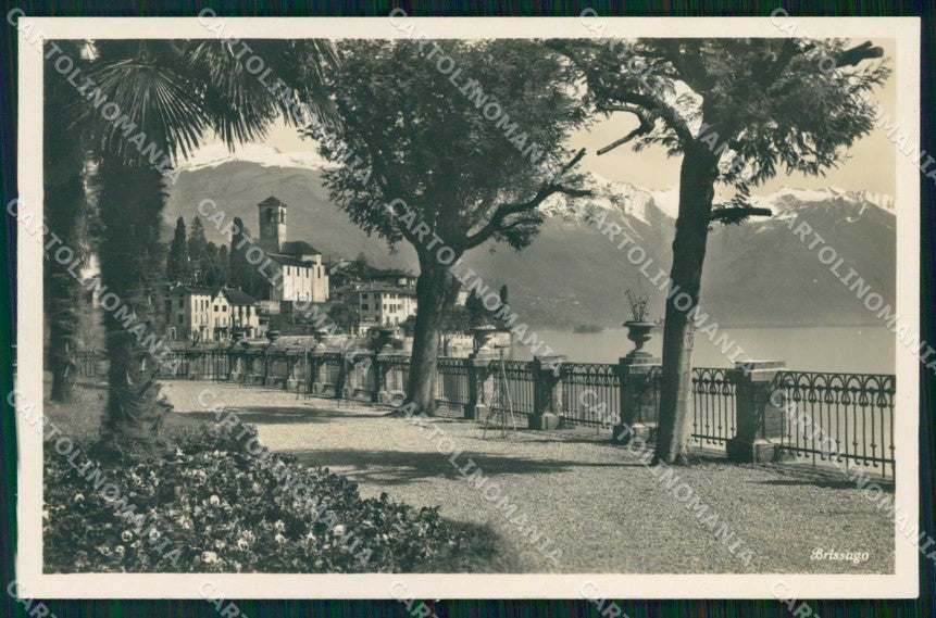Svizzera Canton Ticino Brissago Foto cartolina RB6516 – fronte
