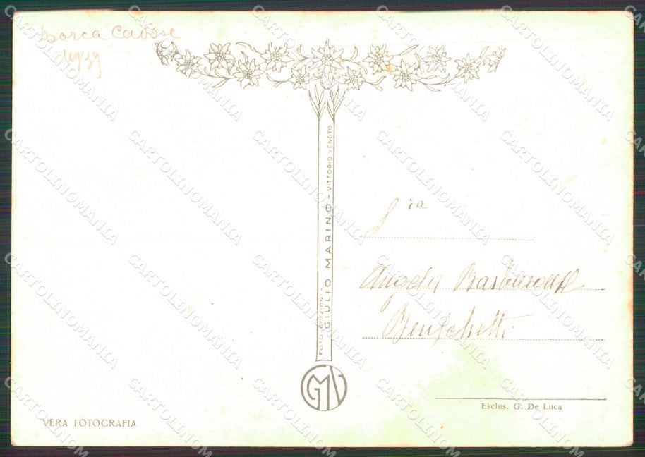 Belluno Borca di Cadore Palazzo delle Dolomiti Antelao FG Foto cartolina RB6529 – retro