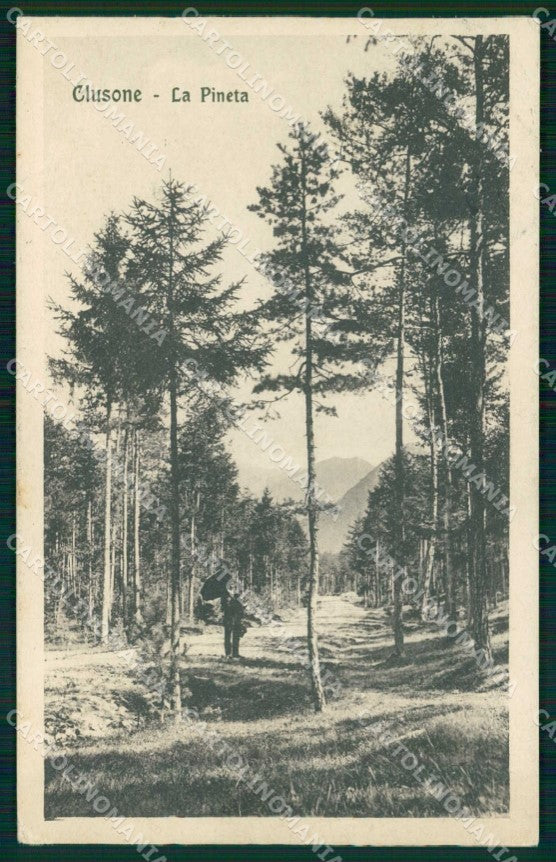 Bergamo Clusone Pineta cartolina RB7003 – fronte