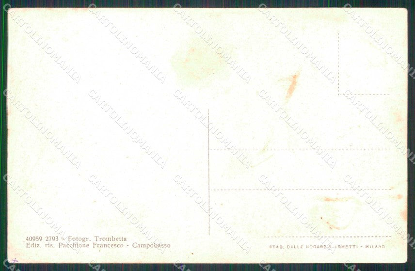 Campobasso Città Cattedrale cartolina RB7295 – retro