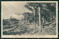 Trento Fai della Paganella Pineta cartolina RB7914 – fronte