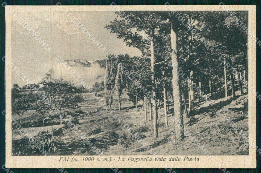 Trento Fai della Paganella Pineta cartolina RB7914 – fronte