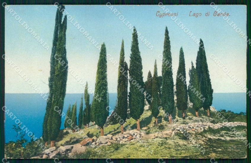 Verona Garda Lago Cipressi cartolina RB8162 – fronte