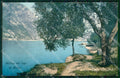 Verona Garda Lago Motivo cartolina RB8171 – fronte