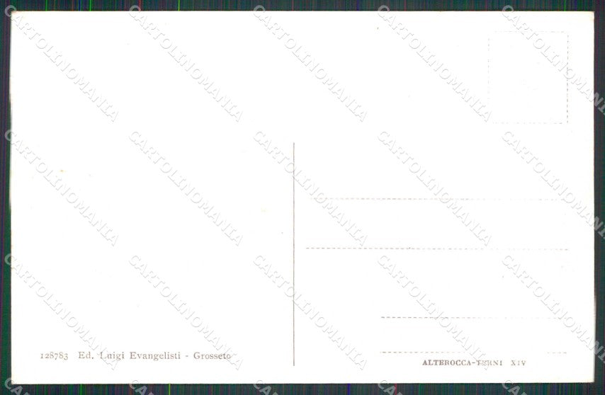 Grosseto Città Via Quattro Novembre Alterocca 128783 cartolina RB8314 – retro