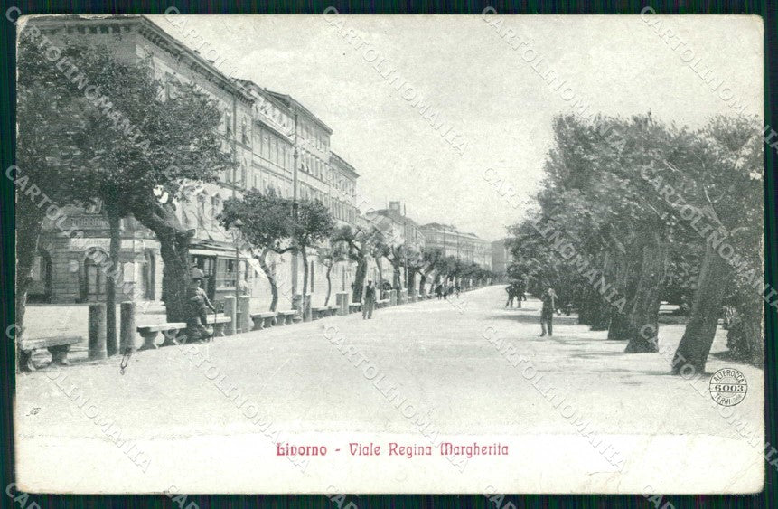Livorno Città Viale Regina Margherita Alterocca 6003 STRAPPINO cartolina RB8478 – fronte