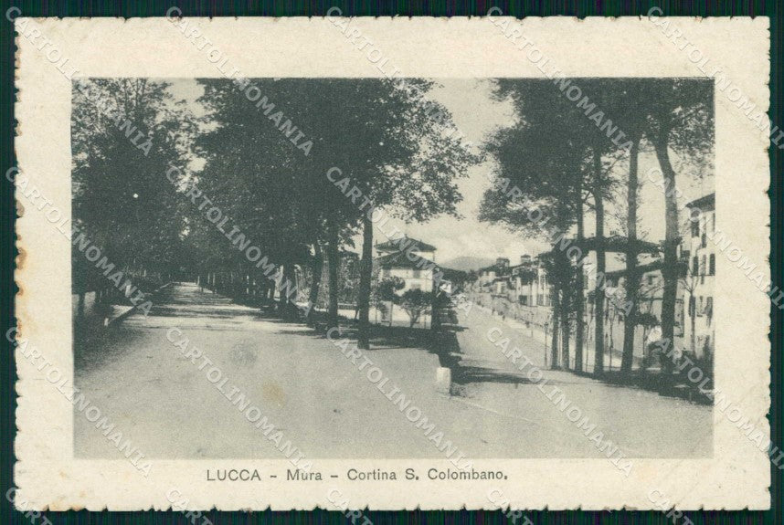 Lucca Città Mura Cortina San Colombano cartolina RB8533 – fronte