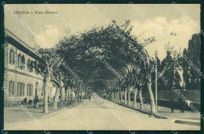 La Spezia Città Viale Savoia cartolina RB8642 – fronte