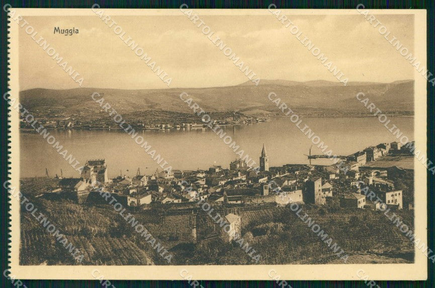 Trieste Muggia Stengel 35272 cartolina RB8845 – fronte