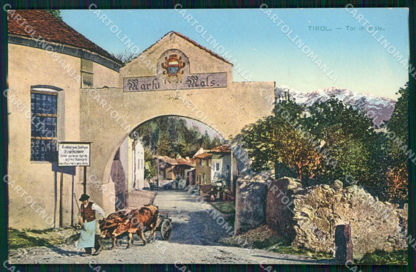 Bolzano Mals Tirolo Carretto con Buoi cartolina RB8865 – fronte