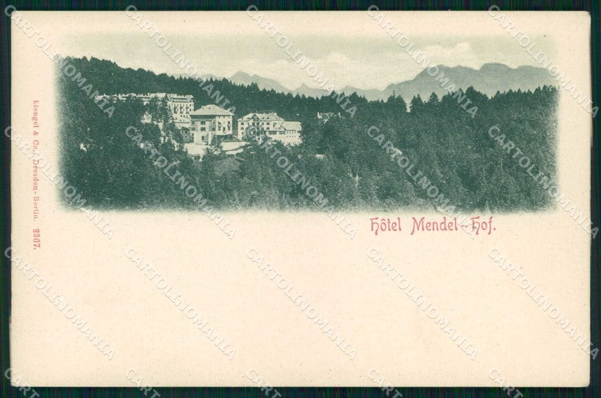 Trento Passo della Mendola Hotel Stengel 2367 cartolina RB8916 – fronte