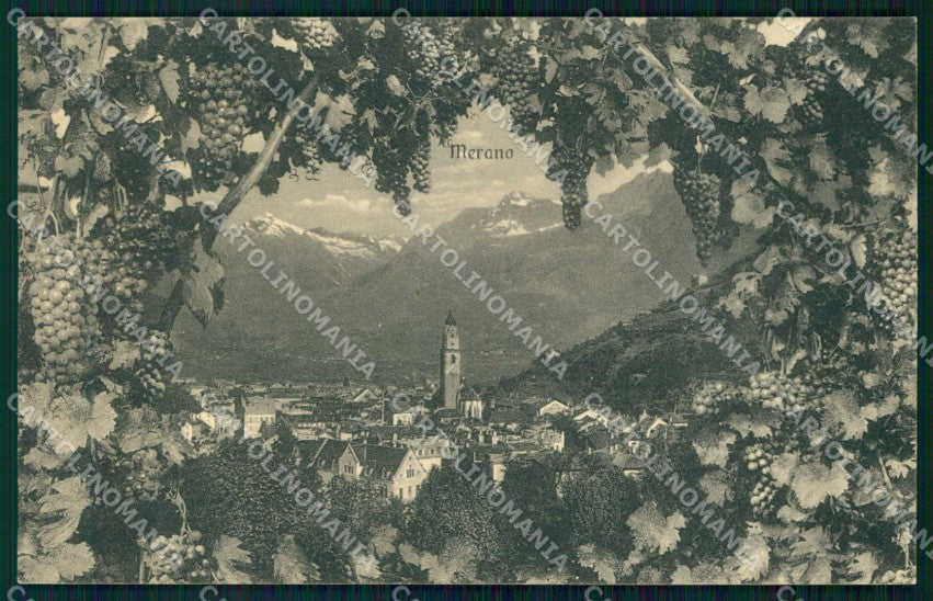 Bolzano Merano Franzl 310/31 cartolina RB9073 – fronte