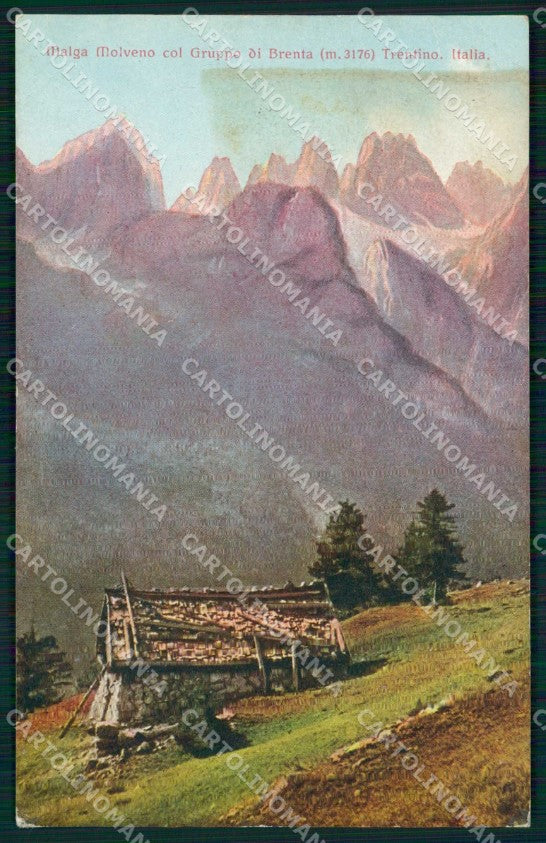 Trento Molveno Malga Gruppo di Brenta cartolina RB9239 – fronte