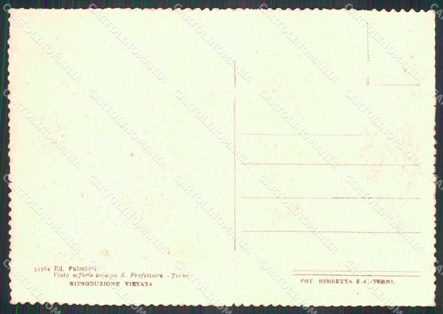 Macerata Città Viale Trieste FG cartolina RB9303 – retro