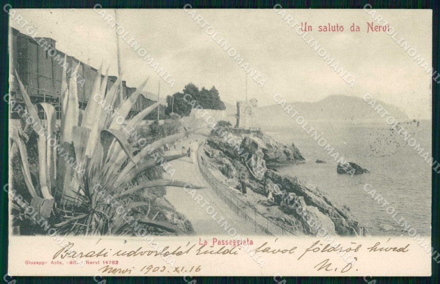 Genova Nervi Saluto da Passeggiata Treno cartolina RB9343 – fronte