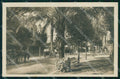 Genova Nervi Viale delle Palme Foto cartolina RB9358 – fronte