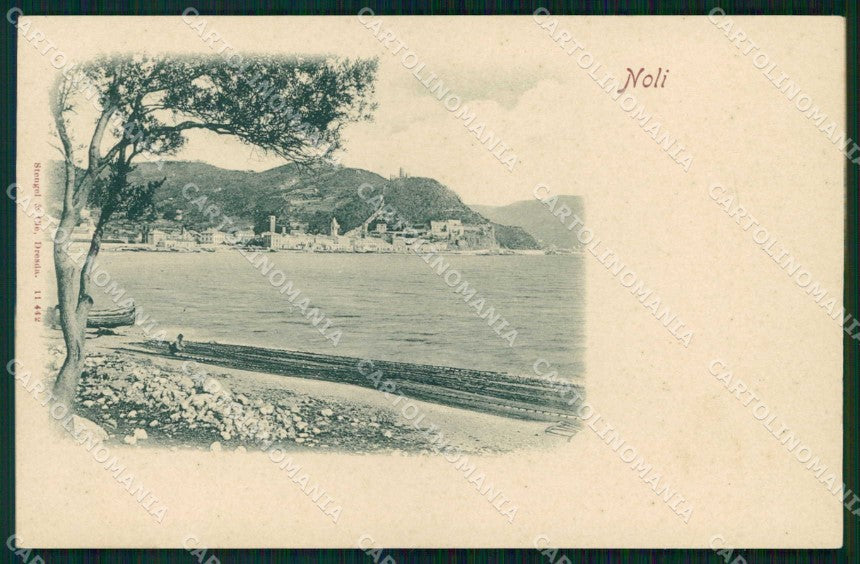 Savona Noli Stengel 11442 cartolina RB9397 – fronte