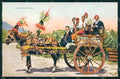 Palermo Città Carretto Siciliano cartolina RB9650 – fronte