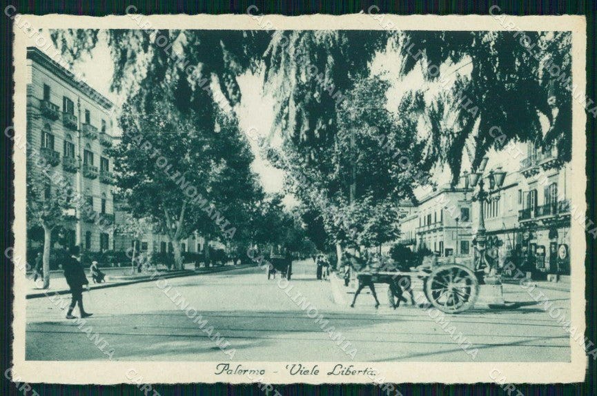 Palermo Città Viale Libertà cartolina RB9670 – fronte
