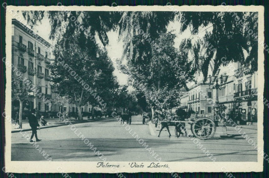 Palermo Città Viale Libertà cartolina RB9672 – fronte