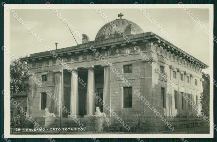 Palermo Città Orto Botanico Foto cartolina RB9722 – fronte