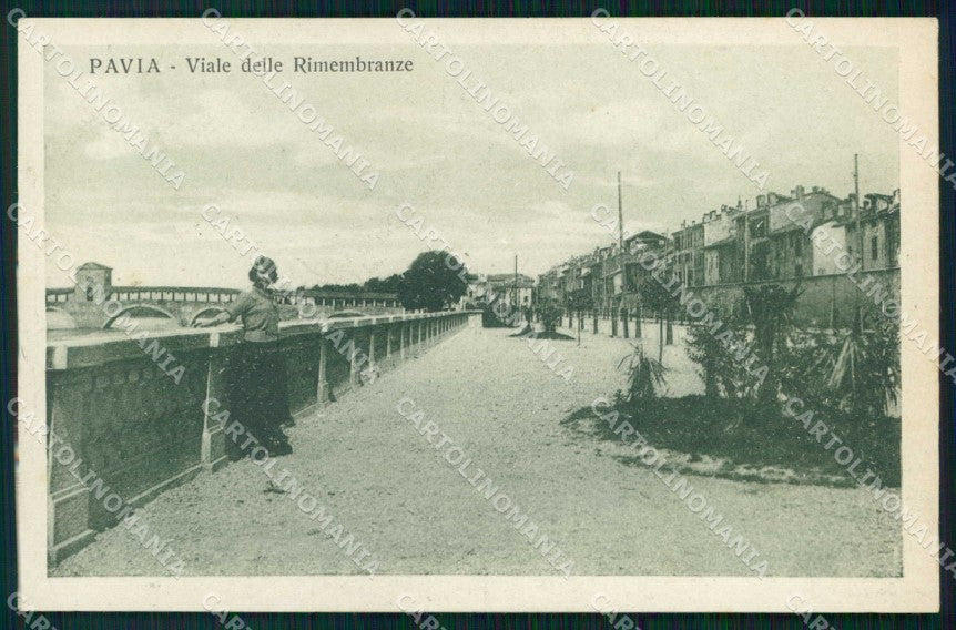 Pavia Città Viale delle Rimembranze cartolina RB9776 – fronte