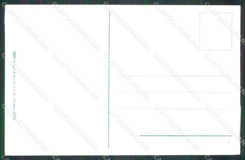 Udine Pontebba Stengel 5593 cartolina RB9995 – retro