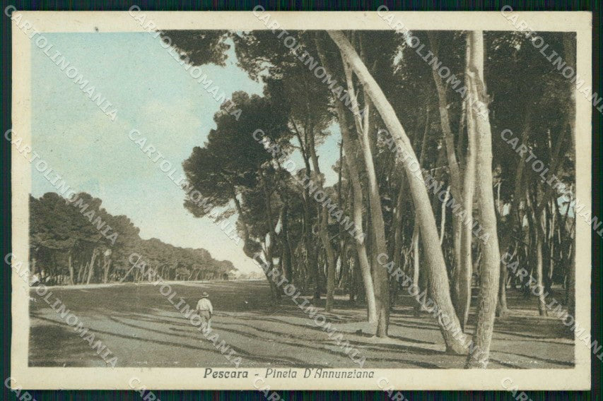 Pescara Città Pineta d'Annunziana cartolina RT0105 – fronte