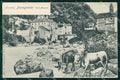 Verbania Pontegrande Valle Anzasca Bovini cartolina RT0149 – fronte