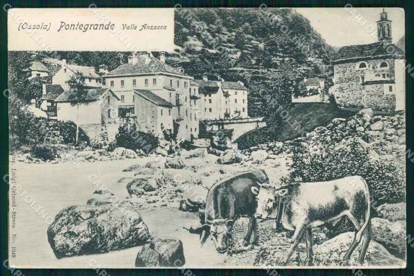 Verbania Pontegrande Valle Anzasca Bovini cartolina RT0149 – fronte