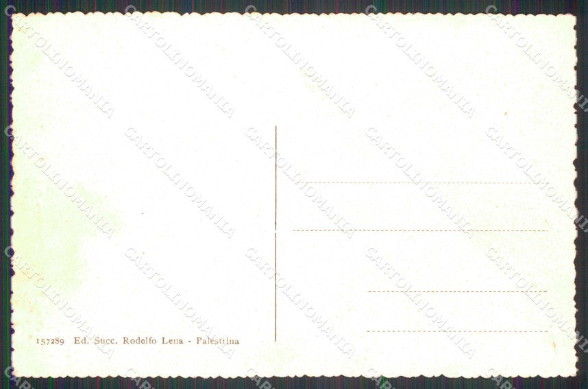 Roma Palestrina Monumento ai Caduti cartolina RT0169 – retro