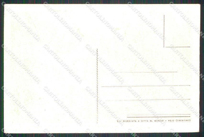 Trento Pejo Alberghi Zanella Cascata Cadini cartolina RT0247 – retro