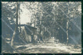 Alessandria Ponzone Viale Alberato Foto cartolina RT0306 – fronte