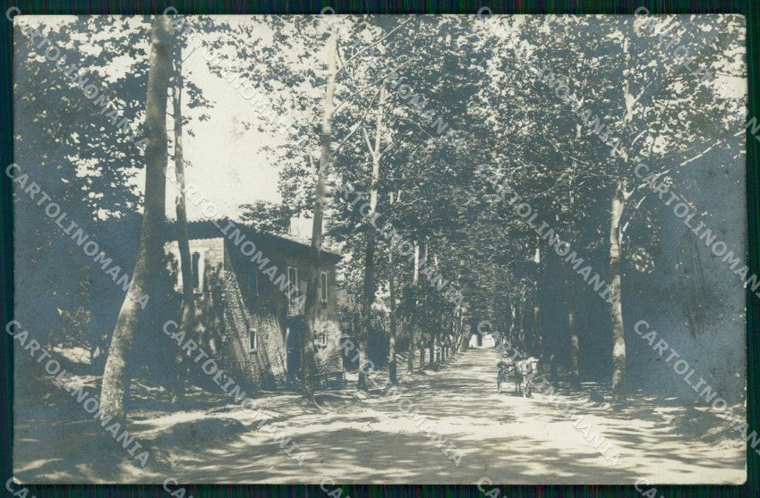 Alessandria Ponzone Viale Alberato Foto cartolina RT0306 – fronte